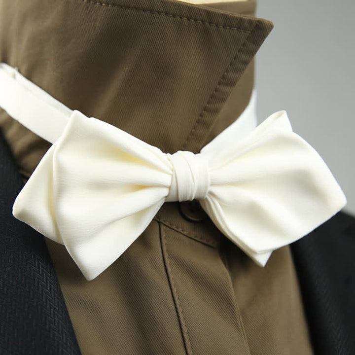 Men's Wedding Special Pointed Shape Bow Tie