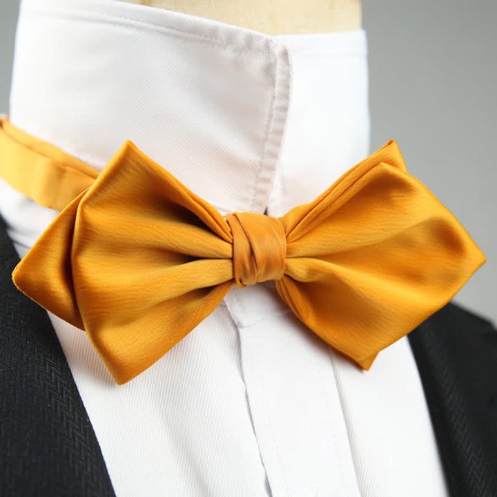 Men's Wedding Special Pointed Shape Bow Tie