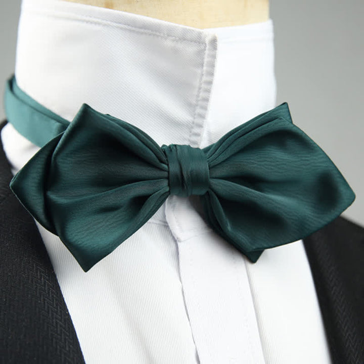 Men's Wedding Special Pointed Shape Bow Tie