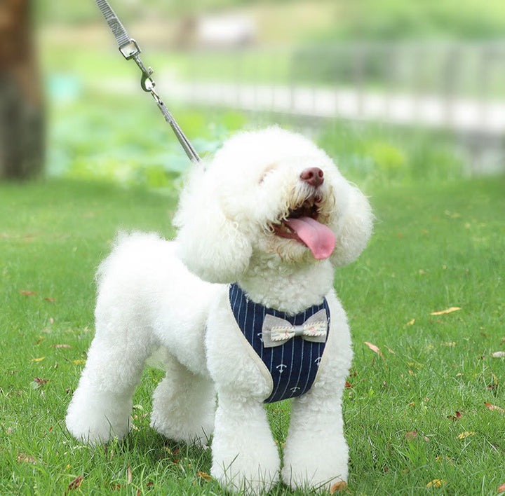 Dog Cat Bow Tie Walking Vest Dog Harness Leash Set