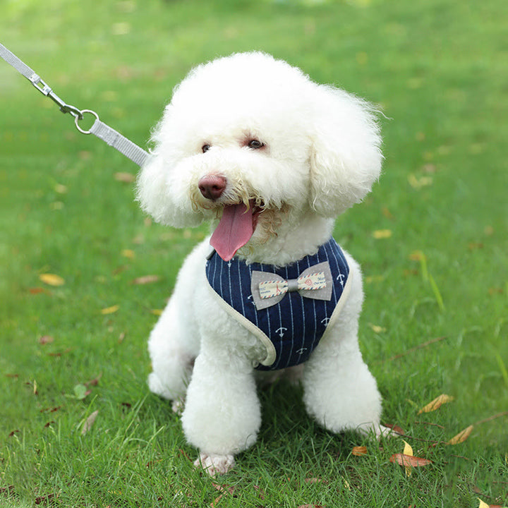 Dog Cat Bow Tie Walking Vest Dog Harness Leash Set