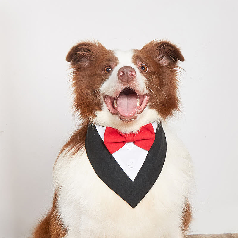 Dog Tuxedo Bandana Pet Bow Tie