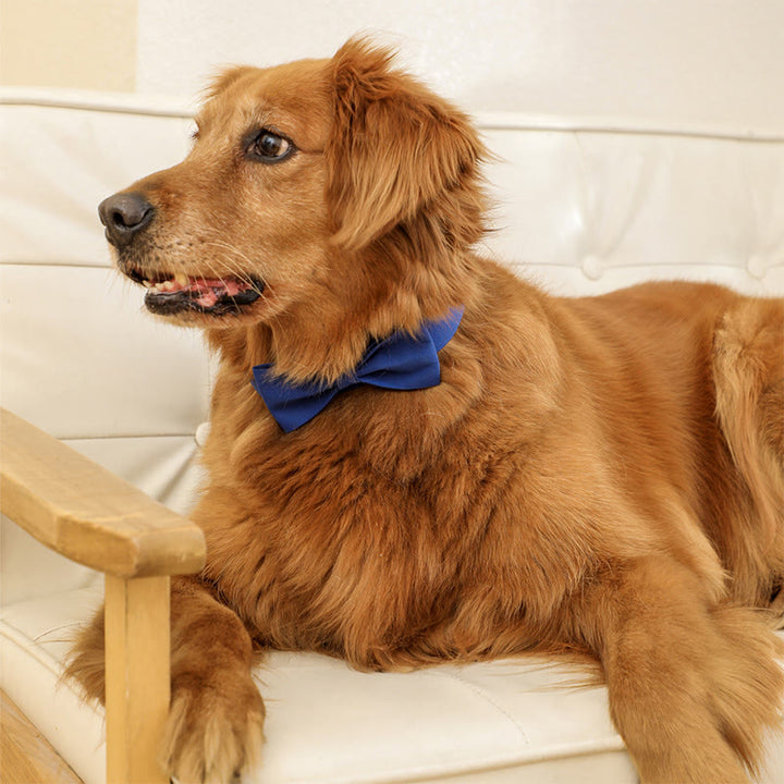 Adjustable Dog Collar Birthday Party Pet Bow Tie