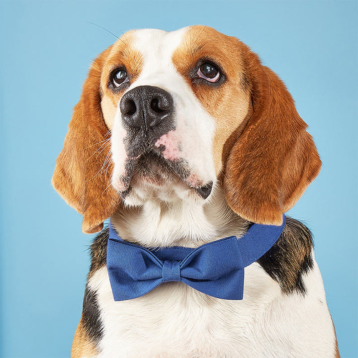 Adjustable Dog Collar Birthday Party Pet Bow Tie