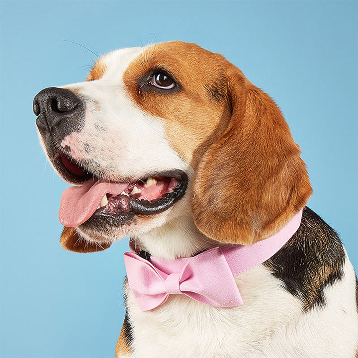 Adjustable Dog Collar Birthday Party Pet Bow Tie