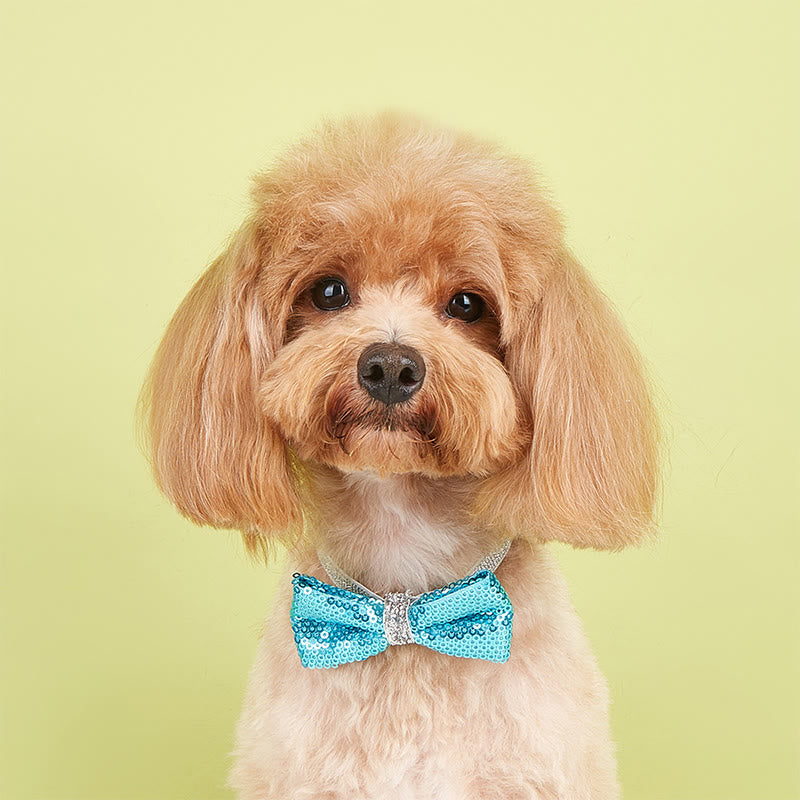 Sparkle Sequin Adjustable Collar Pet Bow Tie