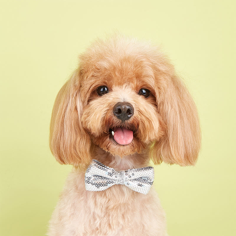 Sparkle Sequin Adjustable Collar Pet Bow Tie