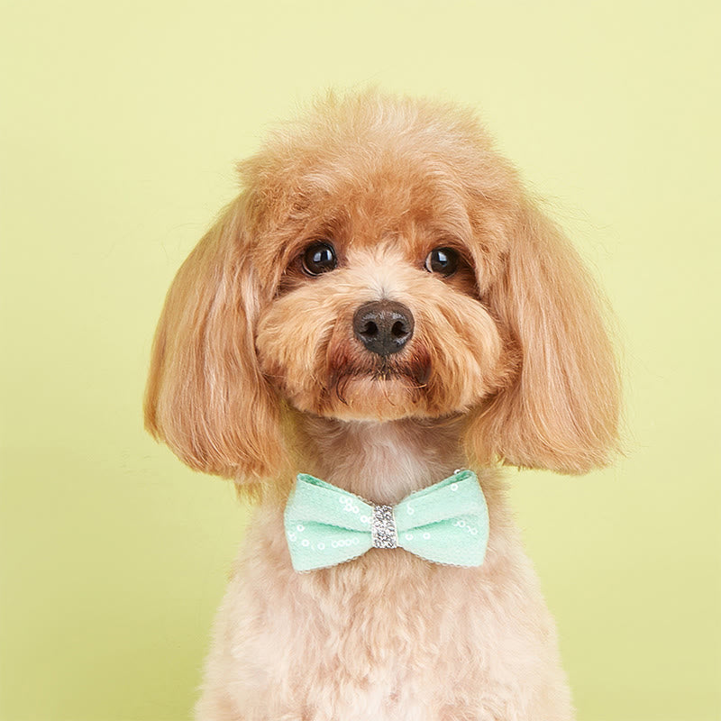 Sparkle Sequin Adjustable Collar Pet Bow Tie