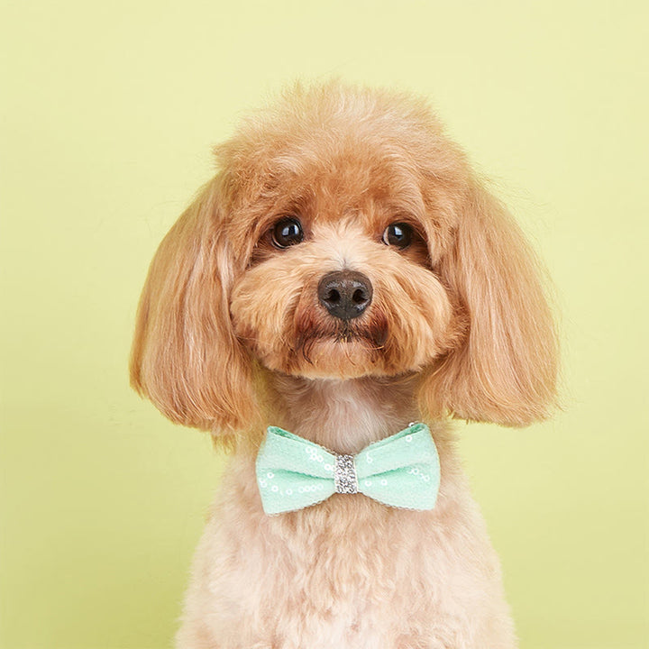 Sparkle Sequin Adjustable Collar Pet Bow Tie