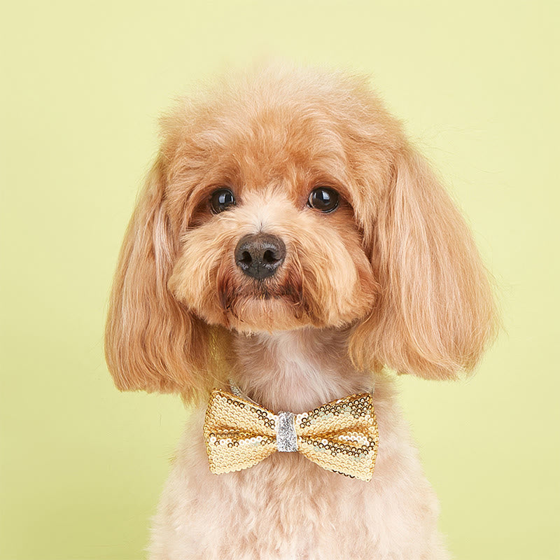 Sparkle Sequin Adjustable Collar Pet Bow Tie