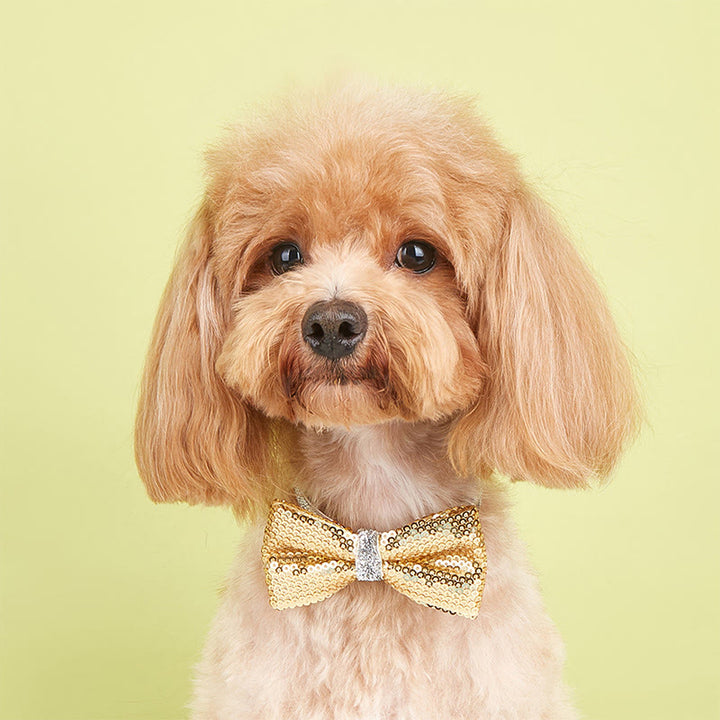 Sparkle Sequin Adjustable Collar Pet Bow Tie