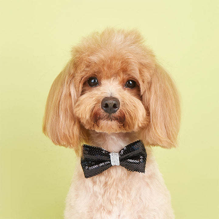 Sparkle Sequin Adjustable Collar Pet Bow Tie