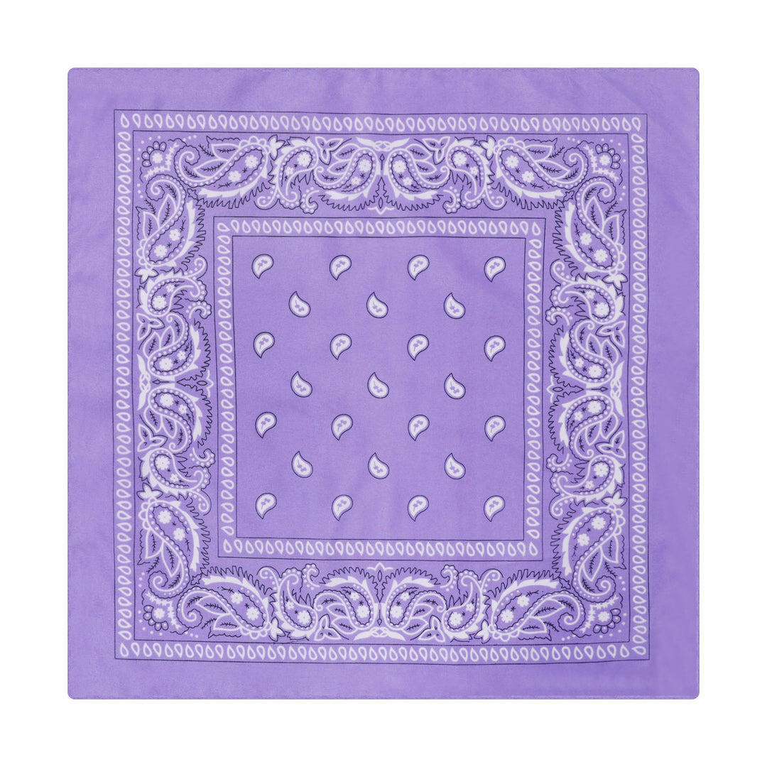 Vintage Paisley Cashew Printed Pocket Square With Silver Star Buckle - Style #4 - image 5