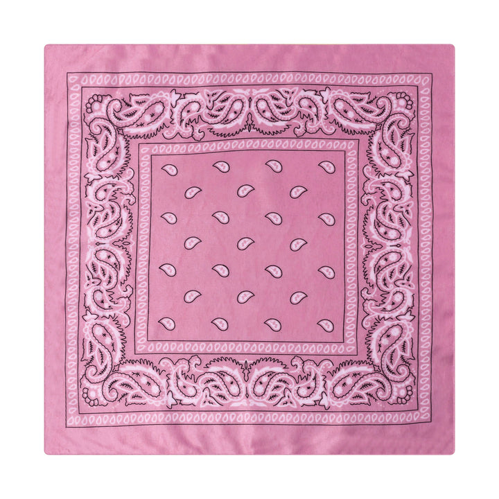 Vintage Paisley Cashew Printed Pocket Square With Silver Star Buckle - Style #20 - image 21
