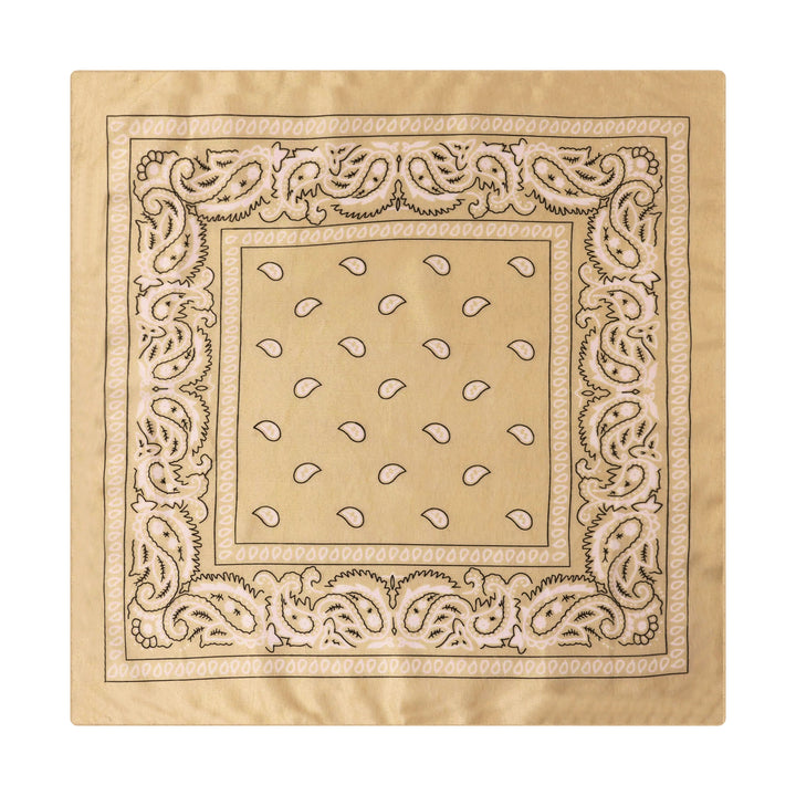 Vintage Paisley Cashew Printed Pocket Square With Silver Star Buckle - Style #8 - image 9