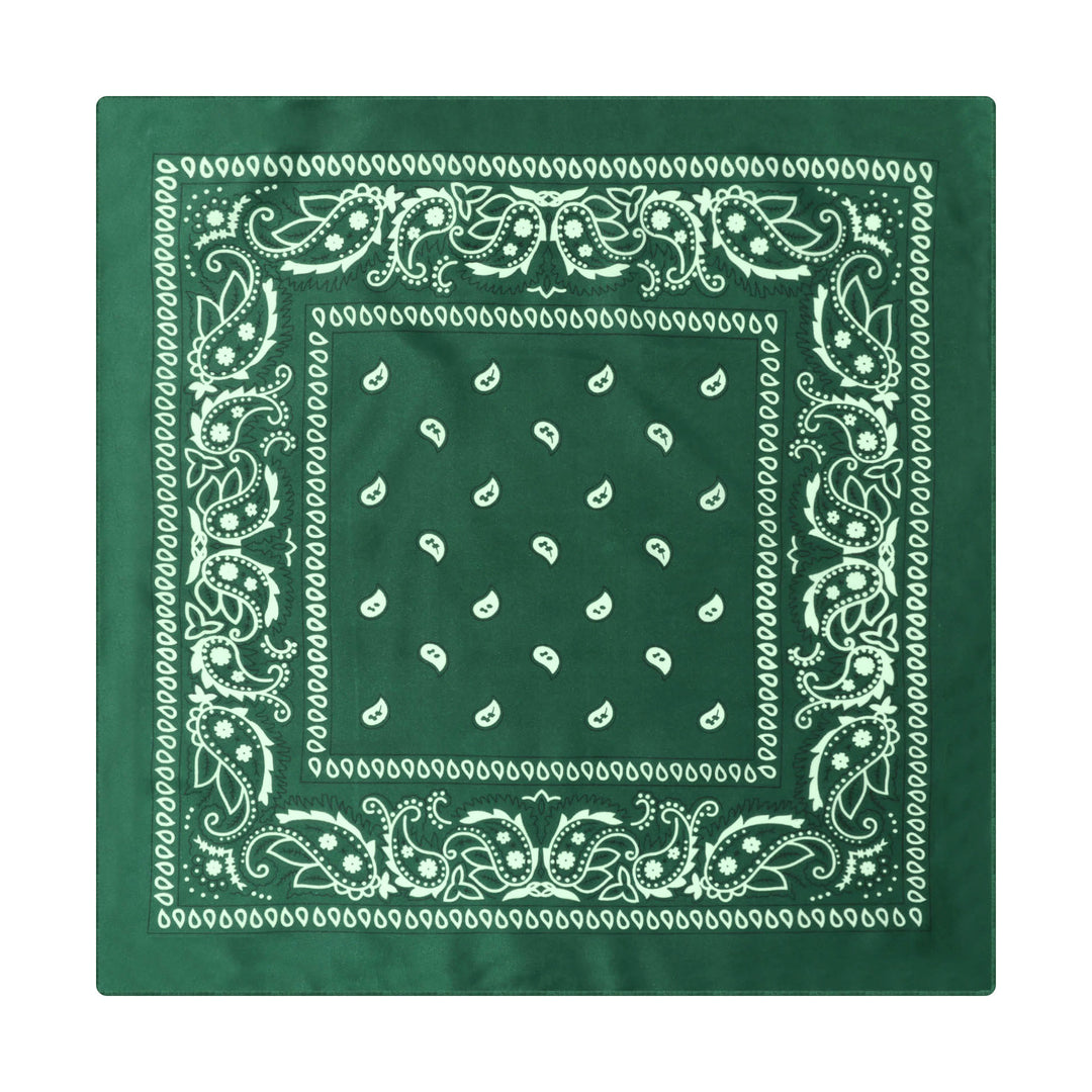 Vintage Paisley Cashew Printed Pocket Square With Silver Star Buckle - Style #9 - image 10