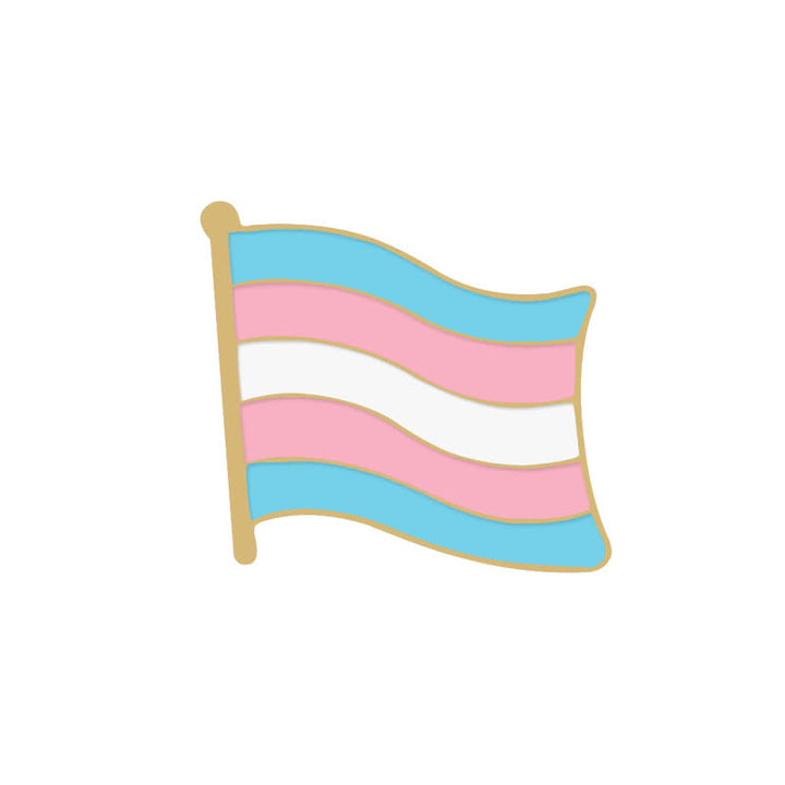 6Pcs Pride Day Pink & Blue Rainbow Flag Brooch