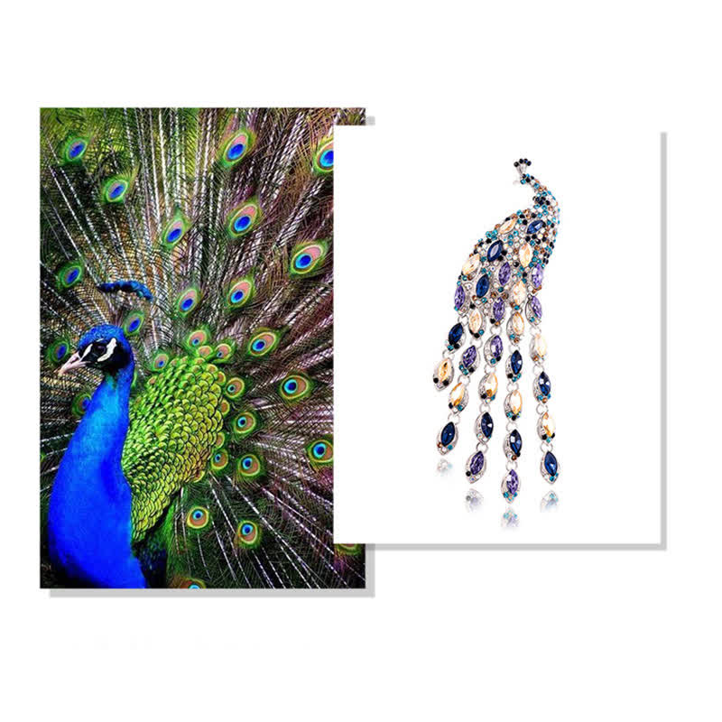 Women's Grazioso Peacock Fringe Brooch