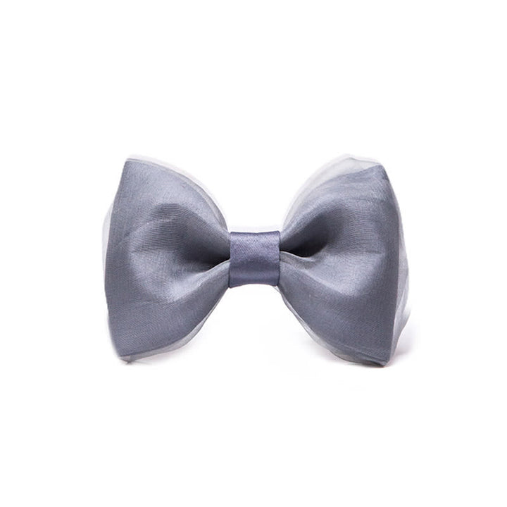 Men's Simple Gentleman Grey Organza Bow Tie