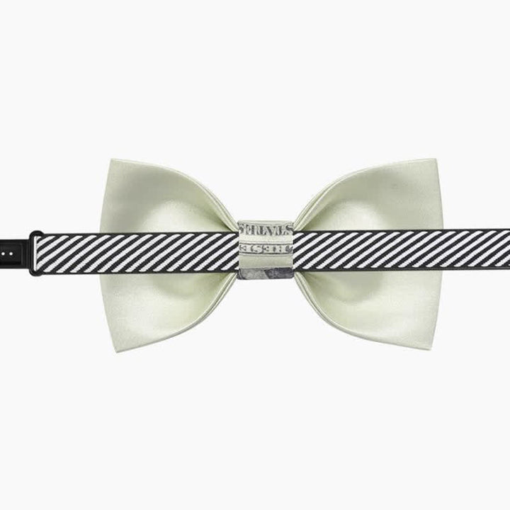 Men's Greenback Dollar Bow Tie